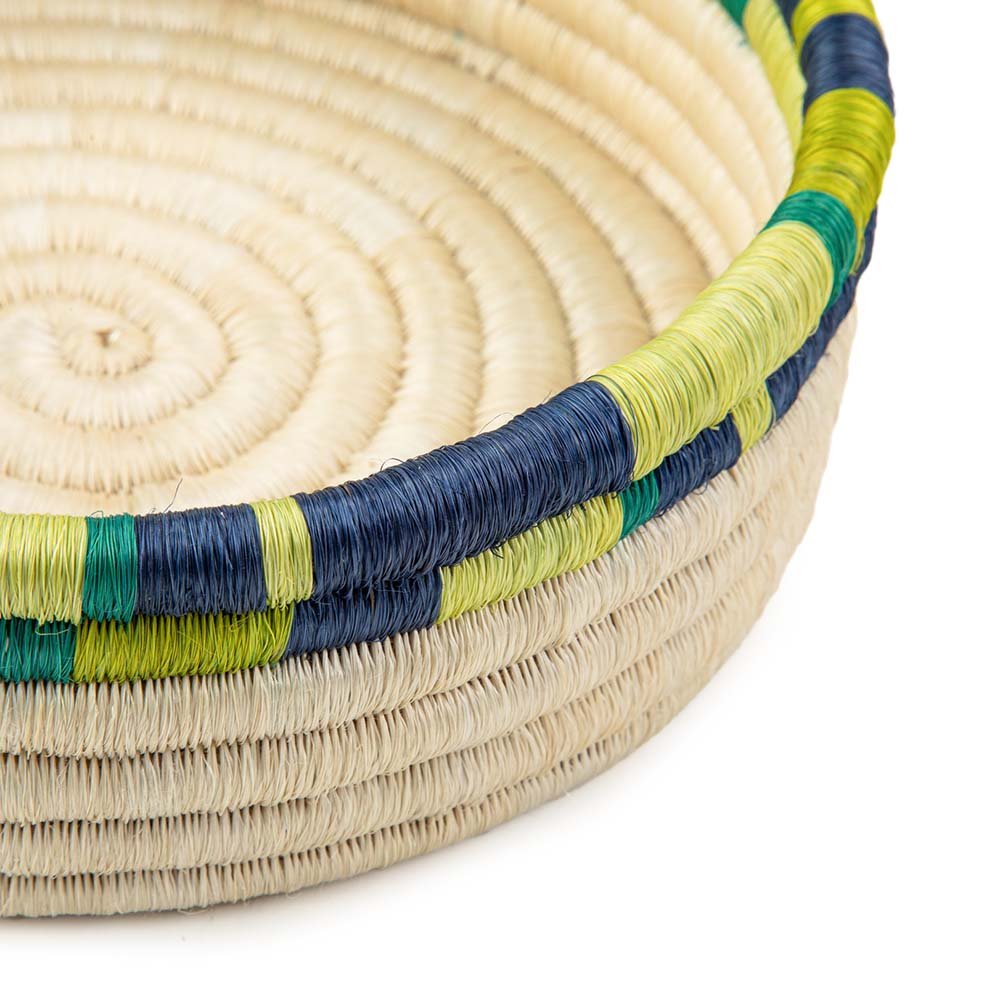 Frutero fique - Imagen 4